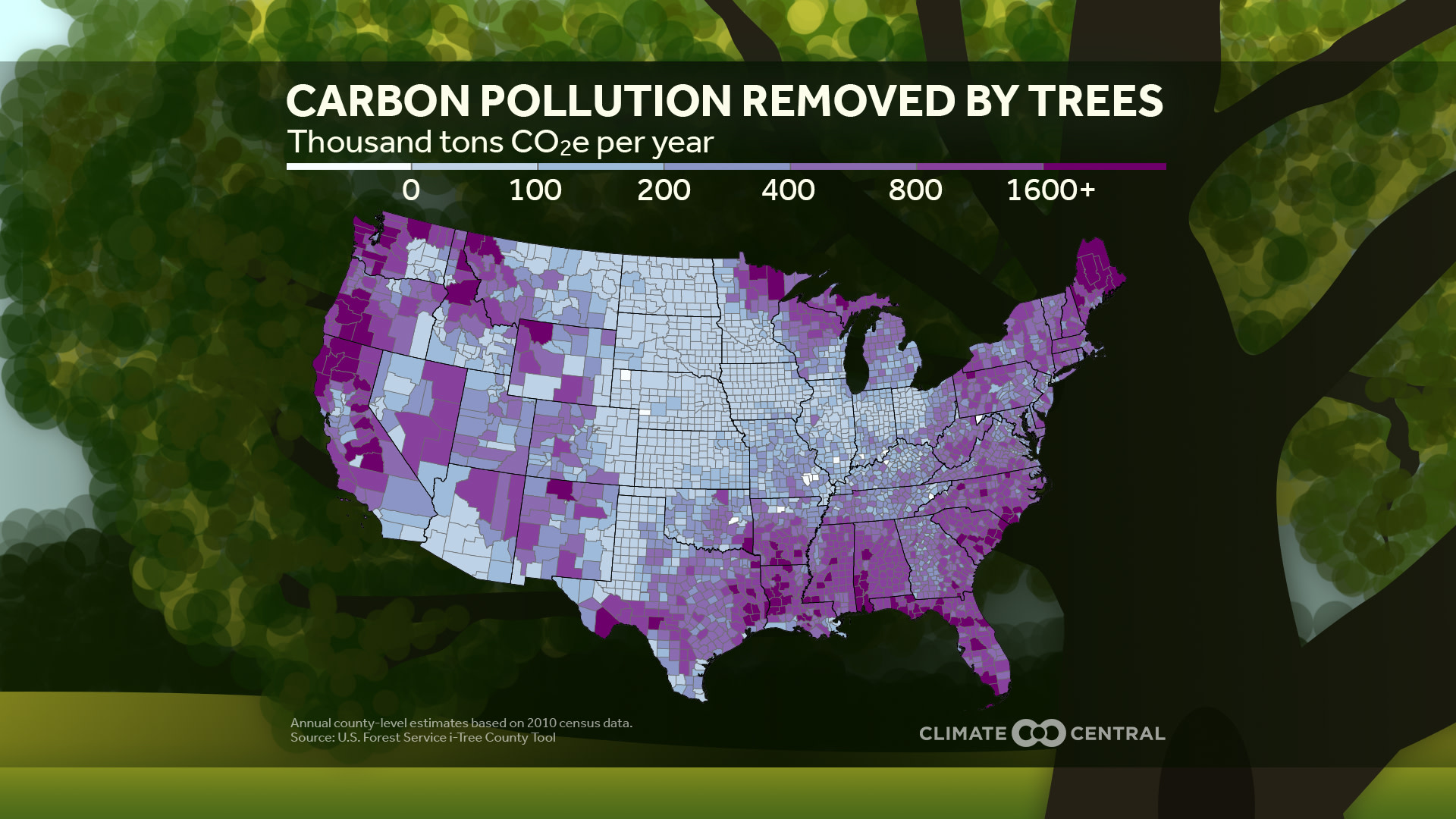 CM: Carbon Pollution Removed by Trees 2023 (EN)