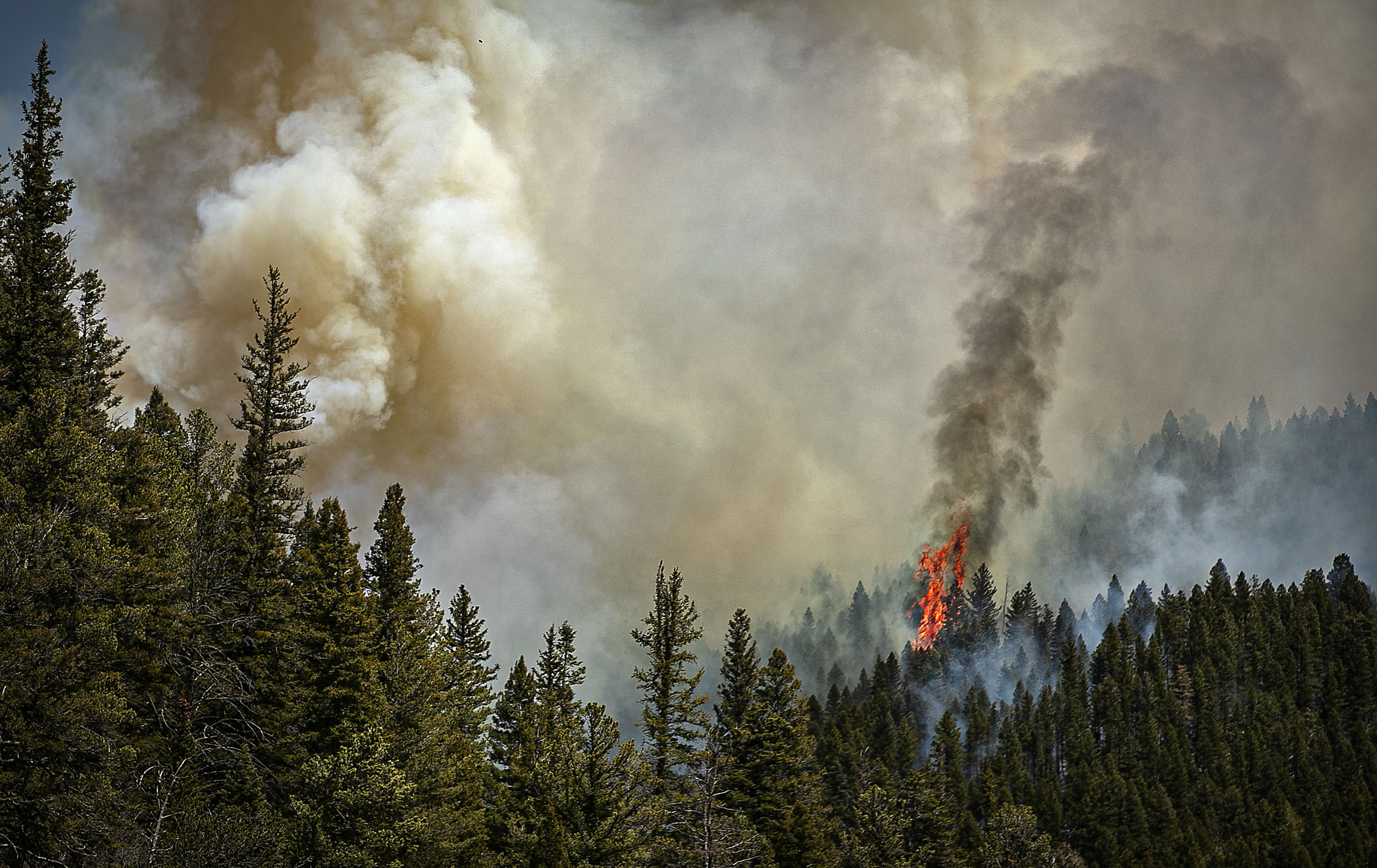 AP-New Mexico Fires-2022